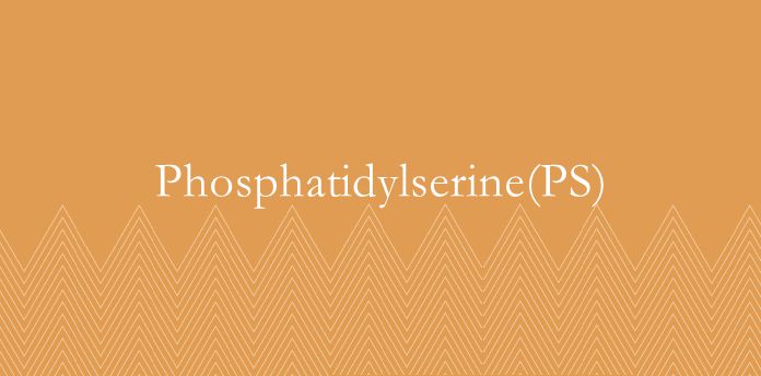 Phosphatidylserine(PS)