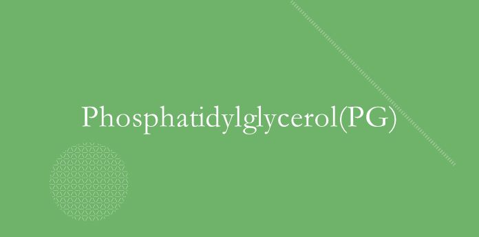 Phosphatidylglycerol(PG)