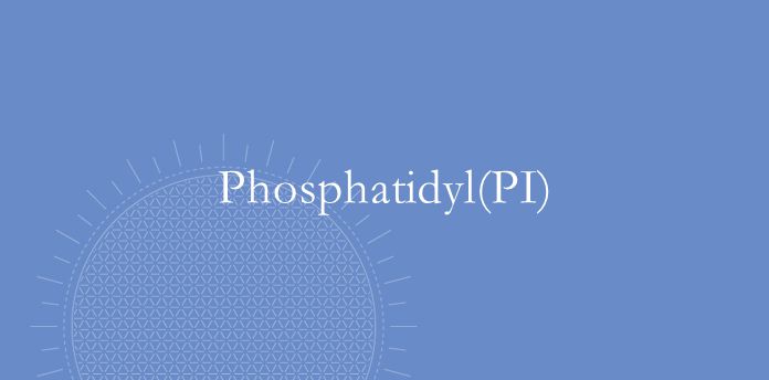 Phosphatidyl(PI)