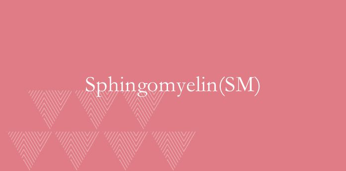 Sphingomyelin(SM)