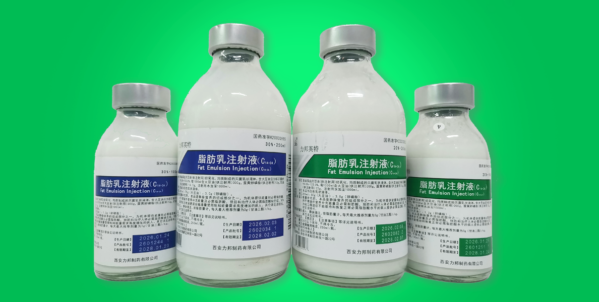力邦英特